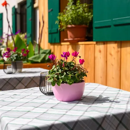 Отель Restaurant Fruehlingsgarten