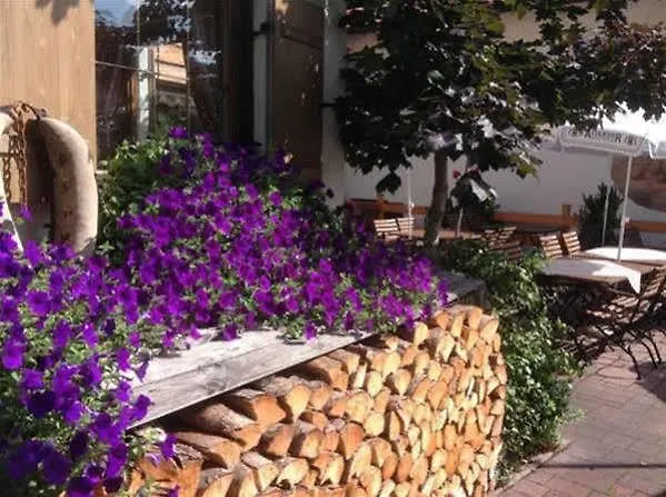 Restaurant Fruehlingsgarten Hotel 3*